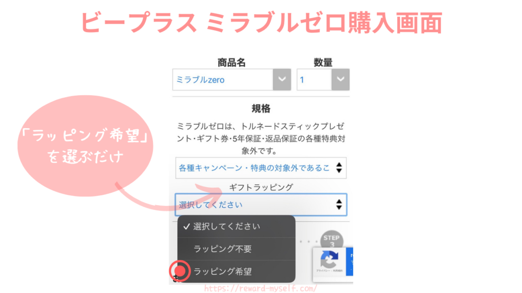 ビープラス購入画面