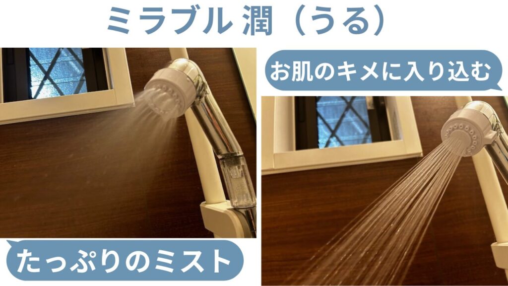 ミラブル潤の2つの水流