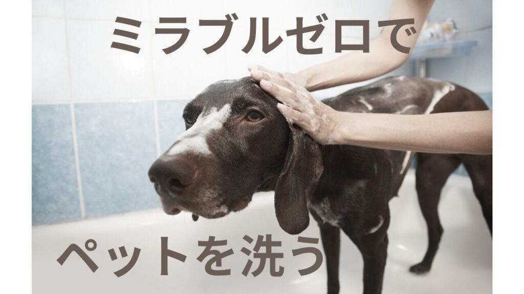 ミラブルゼロは皮膚が弱いペットにも使える？シャンプーなしでも汚れが落ちるって本当？